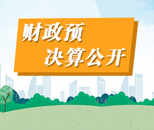 財(cái)政預(yù)決算公開